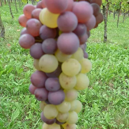 Gitzelbrunnen Hébergement de vacances *