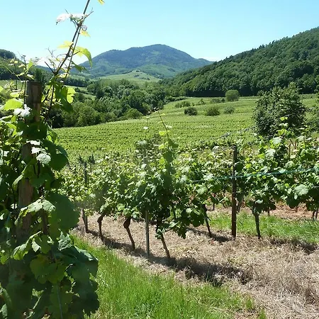 Casa vacanze Gitzelbrunnen