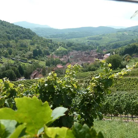 Gitzelbrunnen Hébergement de vacances Epfig