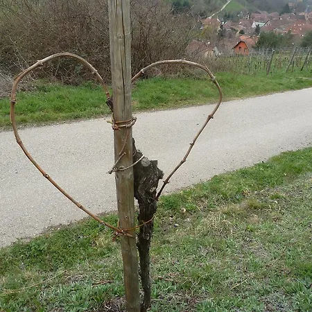 Casa vacanze Gitzelbrunnen